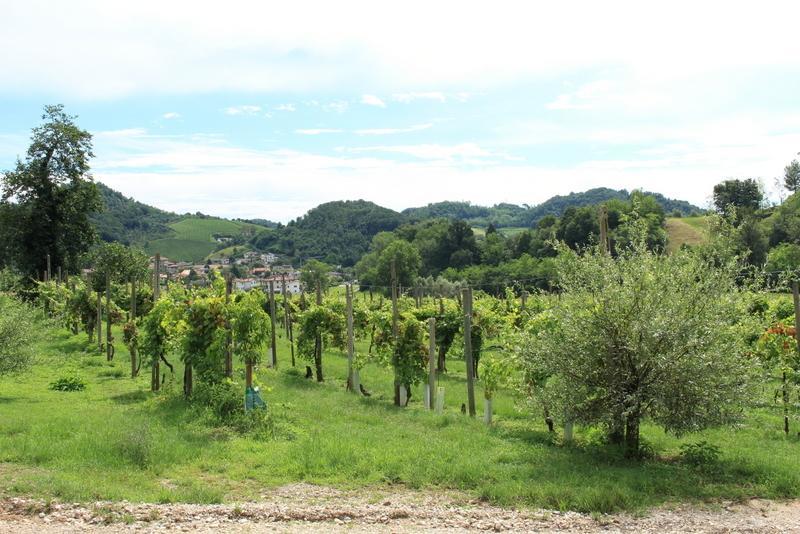 Agriturismo Mazzeracca Bassano del Grappa Eksteriør bilde